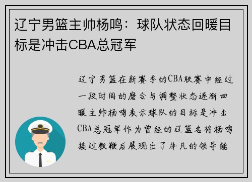 辽宁男篮主帅杨鸣：球队状态回暖目标是冲击CBA总冠军