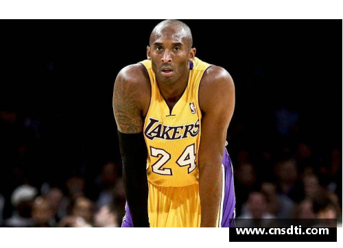 NBA微特斯：全面解读球队历史、明星球员和赛季表现
