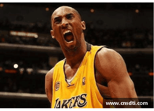 MYBALL迈博官网虎乐NBA：探索NBA球队赛季表现与球员数据的深度分析 - 副本